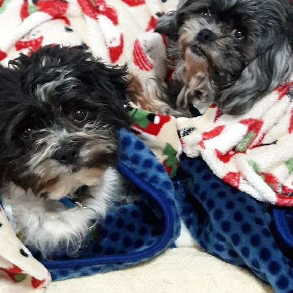 Meet your Posher, Amy - Picture 4 of 5